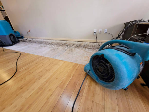 Professional Flood Damage Cleanup technician working in Warren, OH